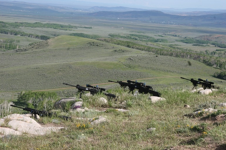 308 rifles 308 rifles