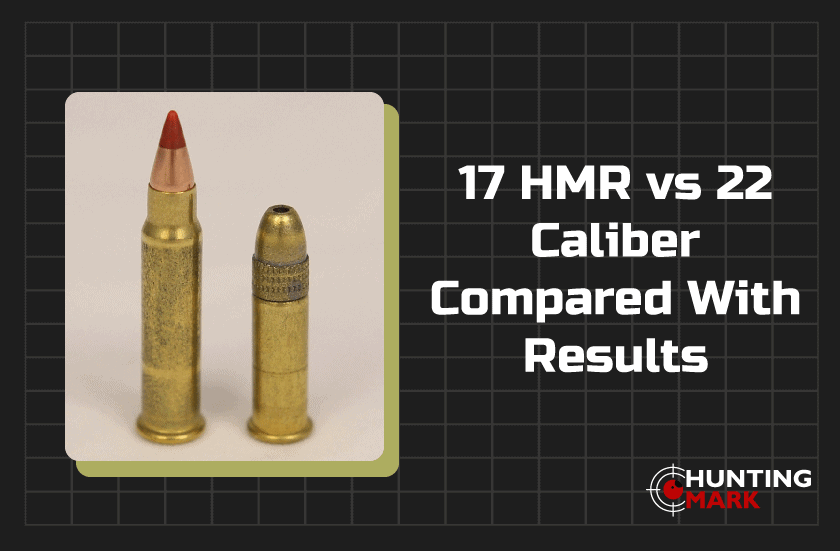 .17 HMR vs .22LR Caliber Compared with RESULTS