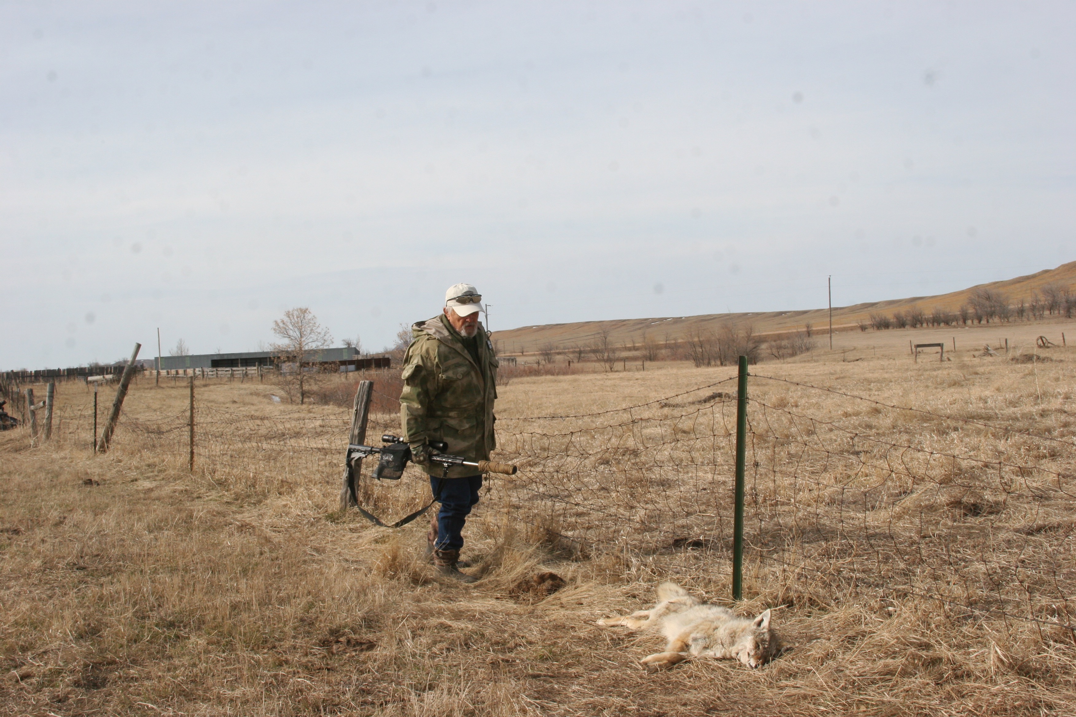 best scope for coyote hunting best scope for coyote hunting