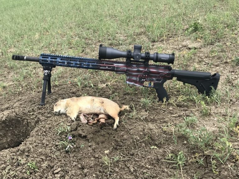 9 Best Scopes For AR 15 Coyote Hunting [WON'T let Them RUN]