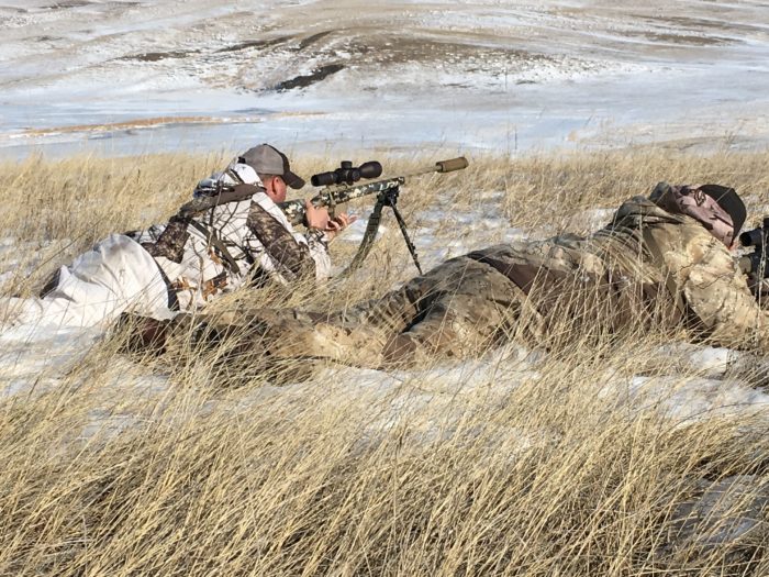 Vortex builds scopes for this type of work. Coyote hunters out of Fur Quest, South Dakota sight and range a coyote at 800 yards.
