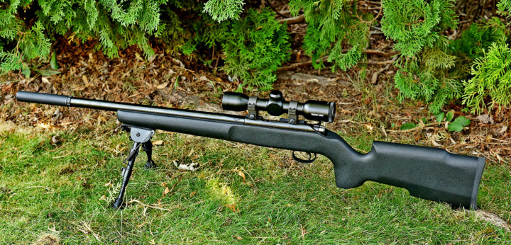 22lr scope for target best .22 rifle scope