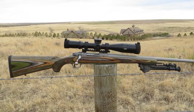 6.5 creedmoor bolt action 6.5 creedmoor bolt action