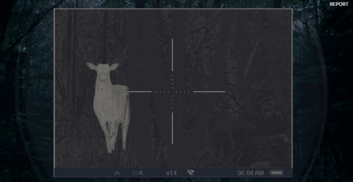 best coyote scope best coyote scope