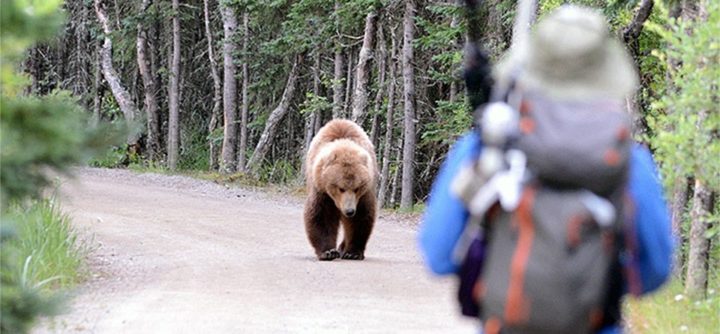 best pistol scope for hunting best pistol scope for hunting