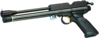 Crosman Silhouette PCP Crosman Silhouette PCP