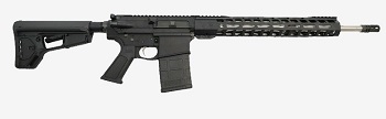 AR-10 Palmetto State Armory