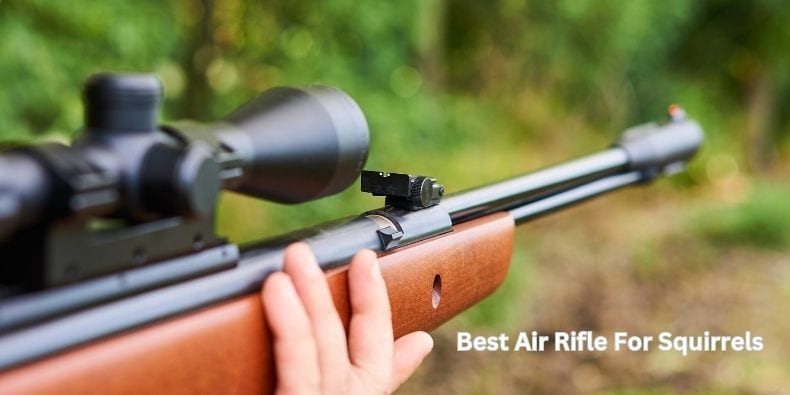 Best Air Rifle For Squirrels in 2024 - [Top 10 Reviewed]