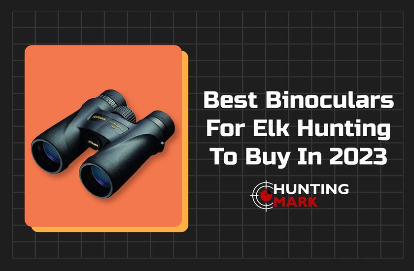 Best Binoculars for Elk Hunting to Buy in 2024 [Reviewed]