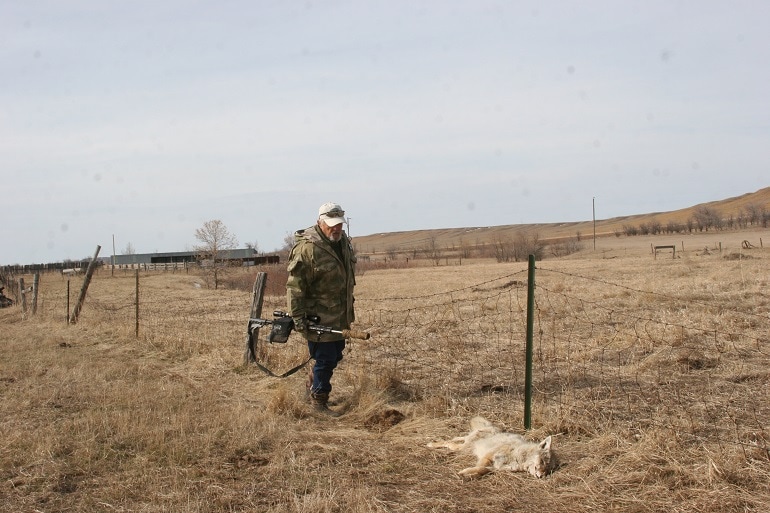 best scope for coyote hunting best scope for coyote hunting