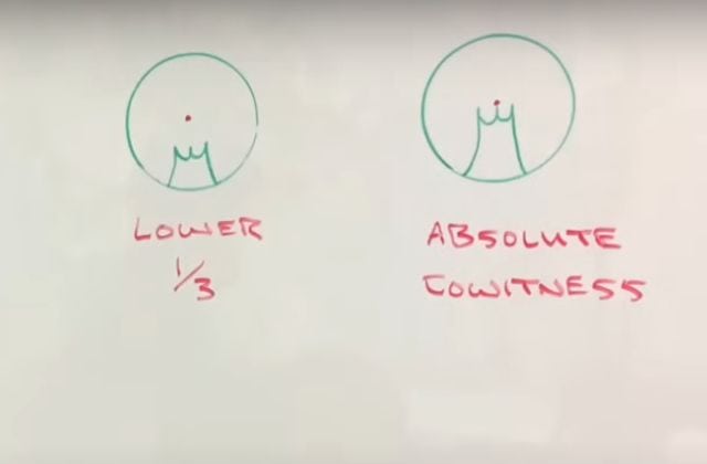 Which Is Better: Absolute or Lower ⅓ Co-Witness Height