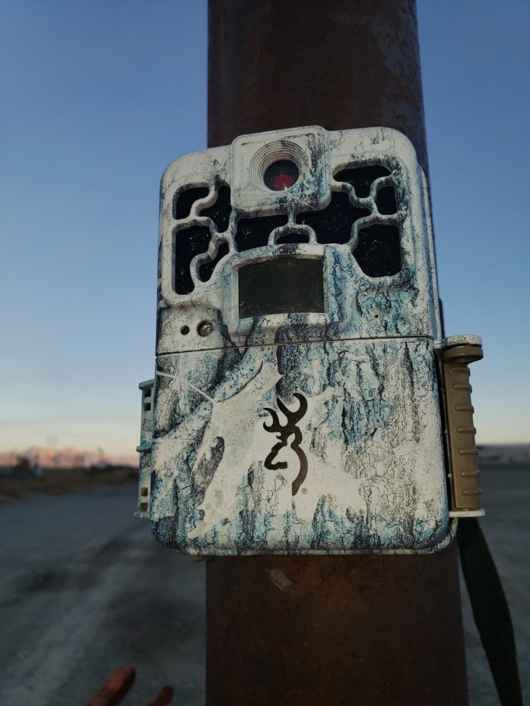 big game trail camera big game trail camera