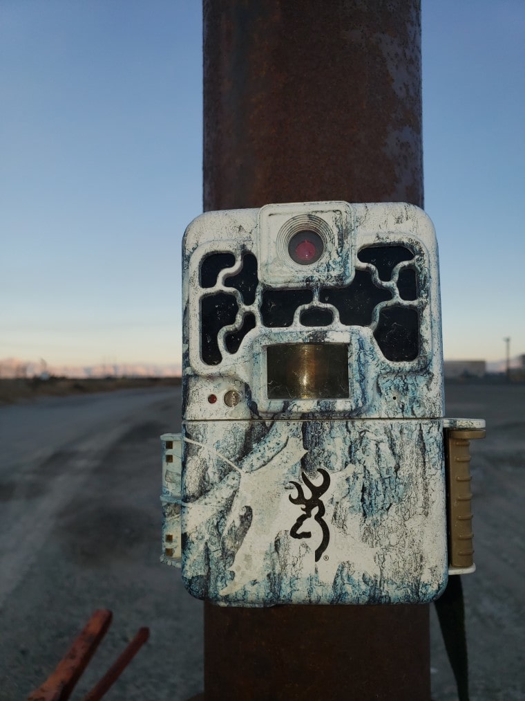 big game trail cameras big game trail cameras
